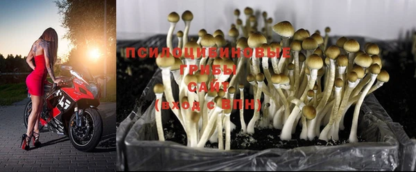 mdpv Лабытнанги