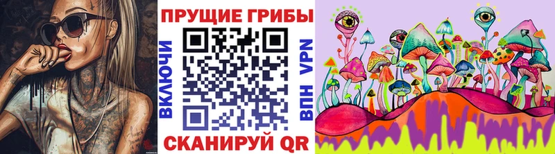 Галлюциногенные грибы GOLDEN TEACHER  Рыбинск 